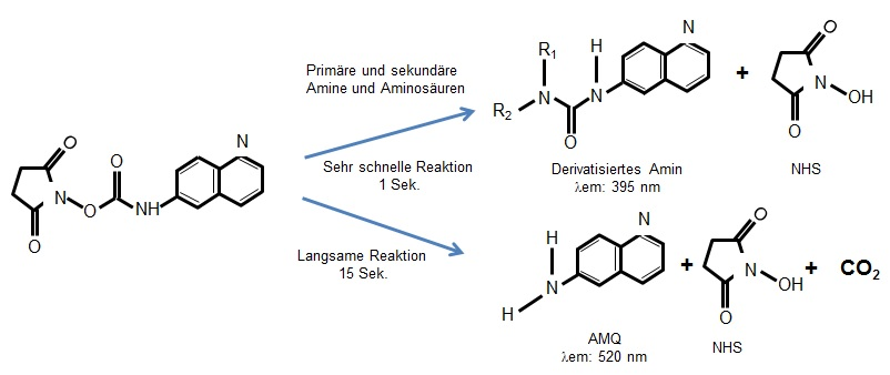 chemical process